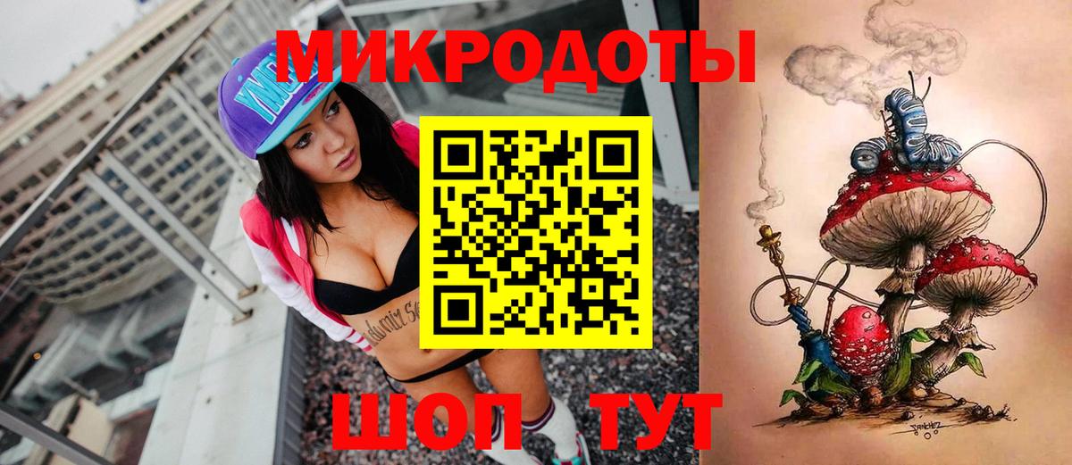 Галлюциногенные грибы Psilocybine cubensis Тимашёвск